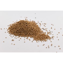 Quinoa bio - Origine France